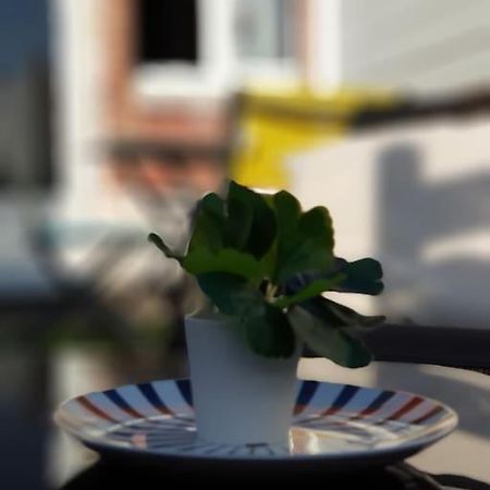 Le Chat Bleu - 26M2- Terrasse Sur Les Toits - Wi-Fi Amiens Exterior photo